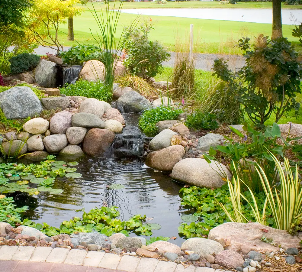 Serene backyard pond with waterfall and plants, creating a tranquil outdoor retreat.